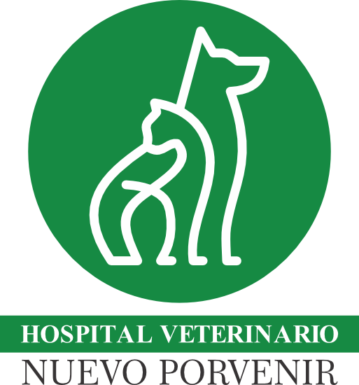branding logo...