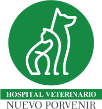 branding logo